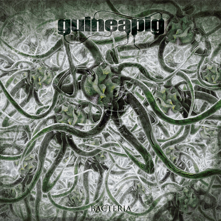Guineapig "Bacteria" 12"